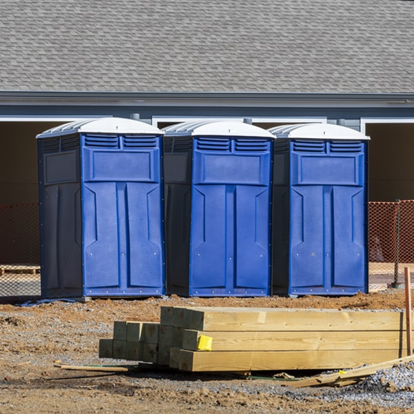 are there different sizes of porta potties available for rent in Mondamin